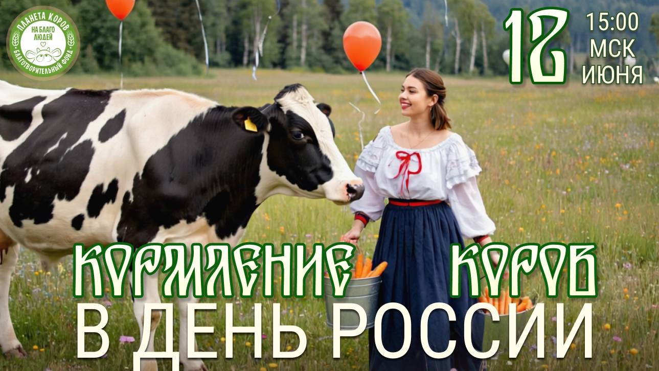 Кормление коров онлайн в День России, 12.06.2025г., Планета коров