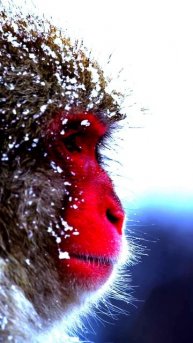 Камера поймала на удивление крутой момент