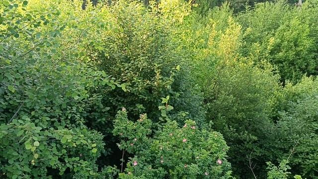 ОТКРЫВАЯ КРАСОТУ В ОБЫДЕННОСТИ