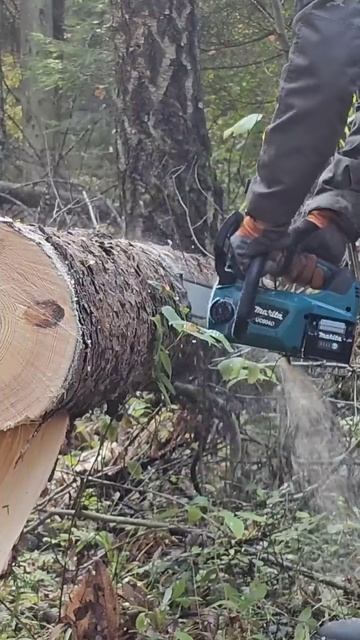 Аккумуляторная пила Makita