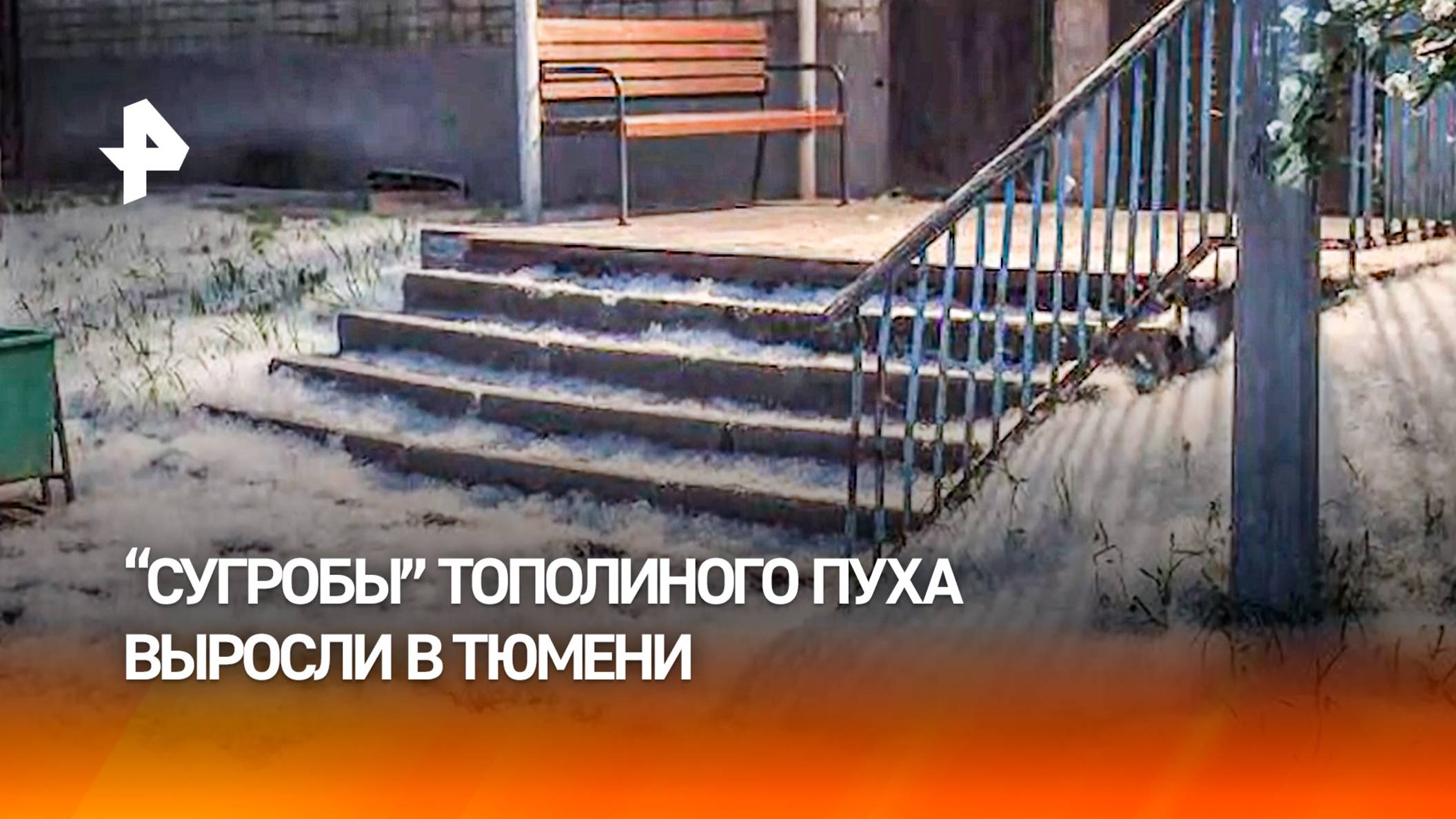 Пушистая метель: тополиный пух накрыл улицы Тюмени