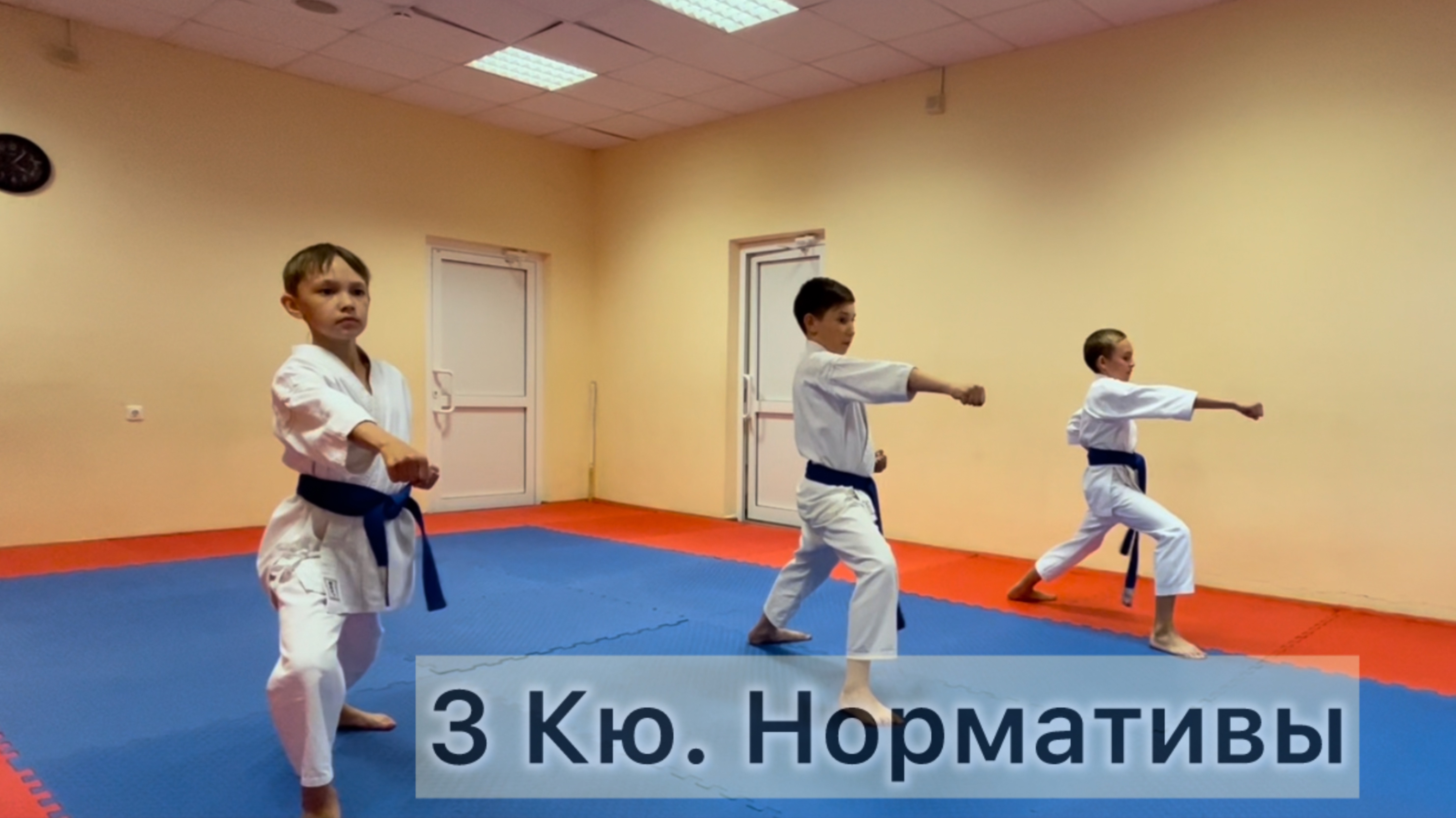 3 Кю. Нормативы 
#каратэ #шотокан