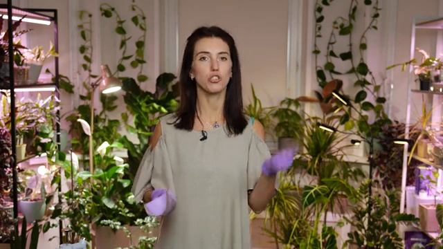 ПРОСТОЙ и ВКУСНЫЙ грунт для комнатных растений! Готовим универсальный цветочный грунт!