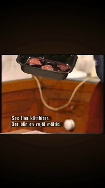 Еда из птиц