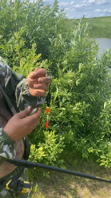 ОГРОМНЫЙ КАРАСЬ НА ЧЕРВЯ!! #fishing #рыбалка #рыба #carpfishing #nature #carp #охота #трофей #карп