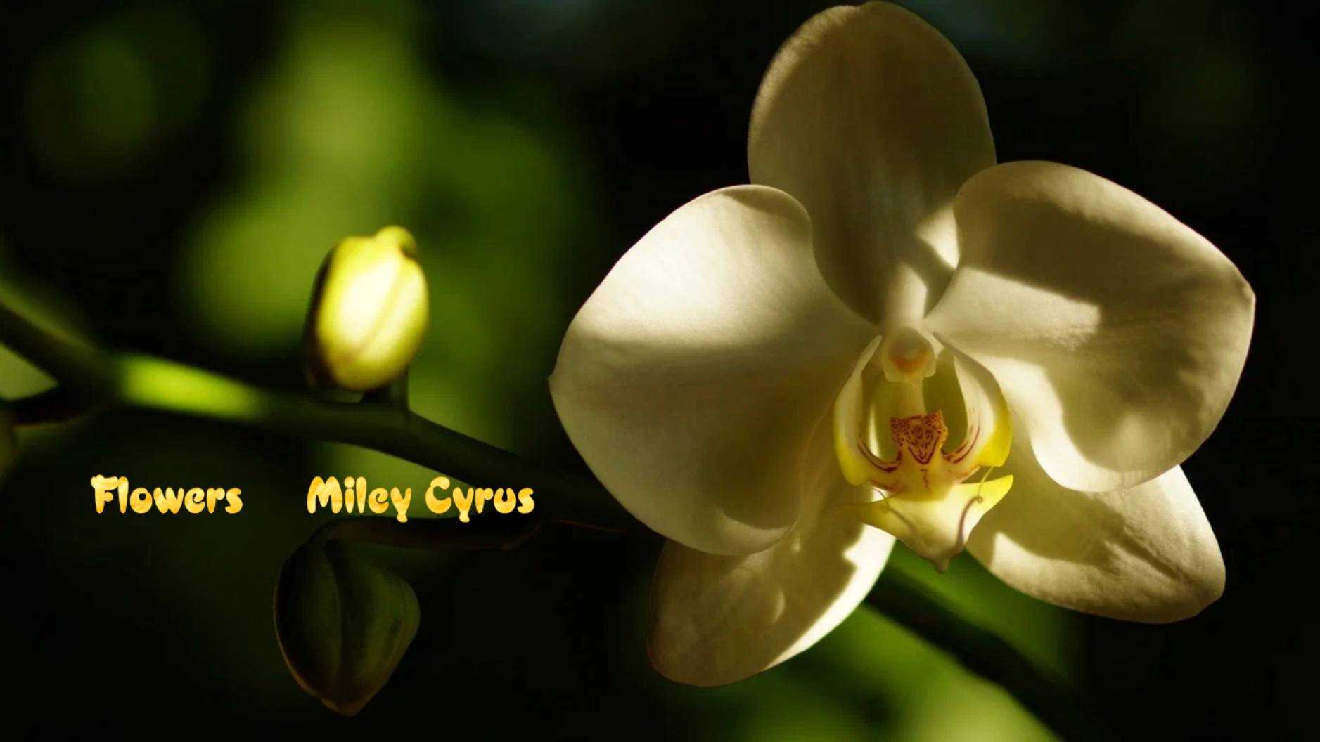 Flowers*     Miley Cyrus