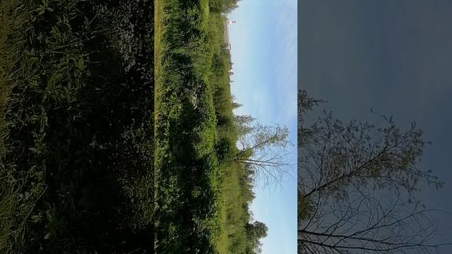 Кривобокое