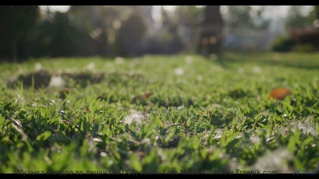 Саунд накрывает с головой, а природа добивает красотой - Comings-and-Goings -- Ketsa -- As Above So
