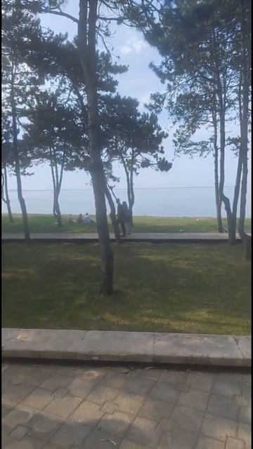 Зарисовки Сухума Олеандры