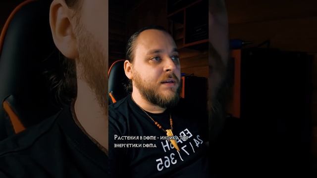 Растения в доме - "Индикаторы". Как определить что в доме нужно больше позитива по растениям?