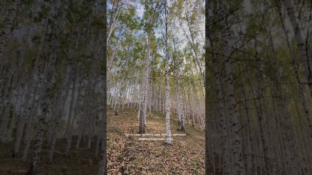 Пока жива моя Россия!  Живёт божественная Русь!   С днем России 🇷🇺