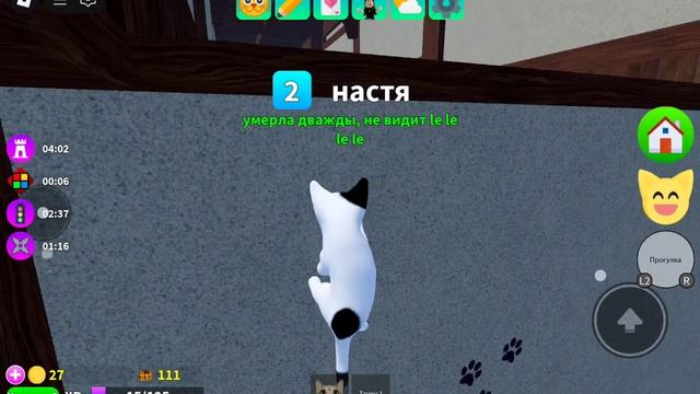 китики