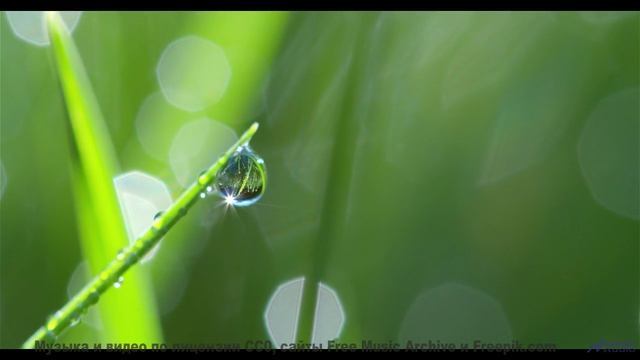 Цветущие поля и цветущие ноты! - The Way I Feel -- Derek Clegg -- Good Graces