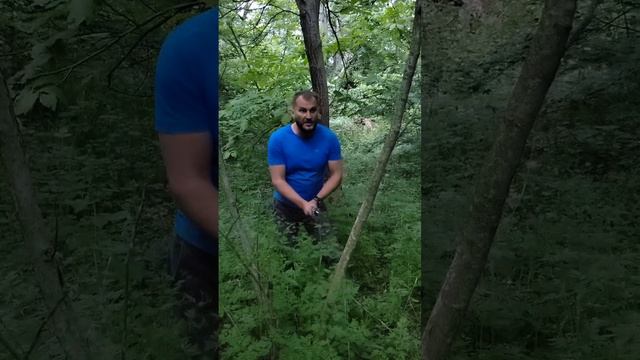 катана боевая обзор