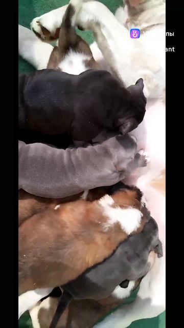 1000249738.mp4