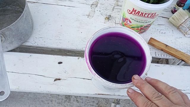 Гортензии, летняя подкормка.