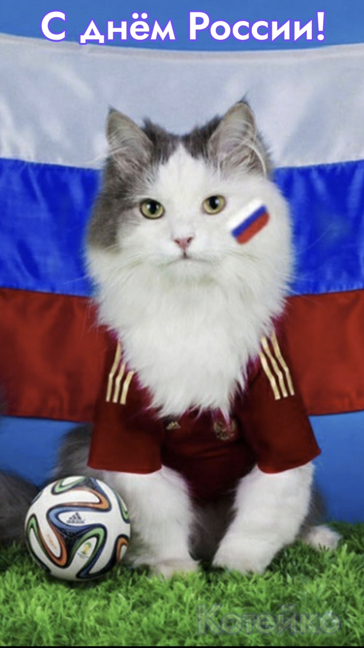 С Днём России!