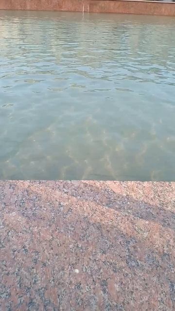 вода