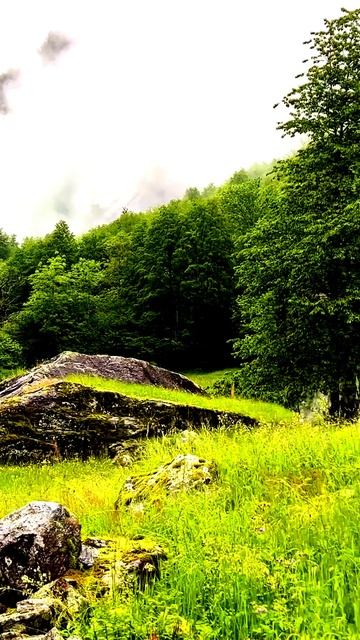 Камера засняла редкий случай