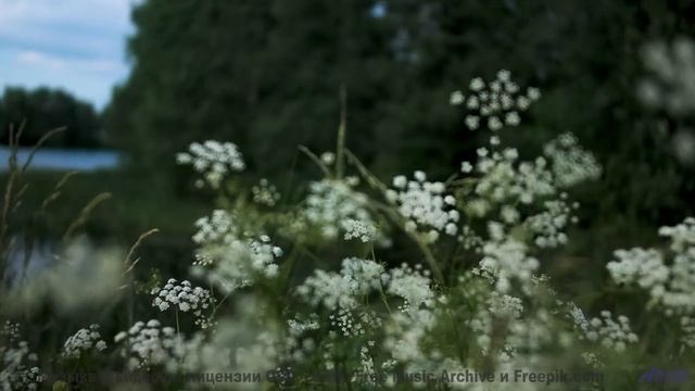 Ты НЕ ПОВЕРИШЬ, что это не голоса! - Psychonautica -- Kirk Osamayo -- Season Two (YELLOW)