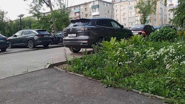 1000008268.mp4