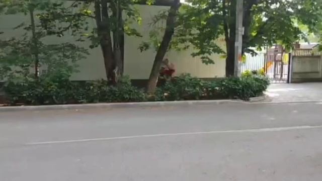 Выход на улицу Гайдара к школе и детсаду