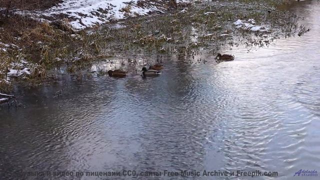 Каждый кадр - словно открытка, ожившая под музыку - Inside Outside -- Derek Clegg -- Faces (re-relea