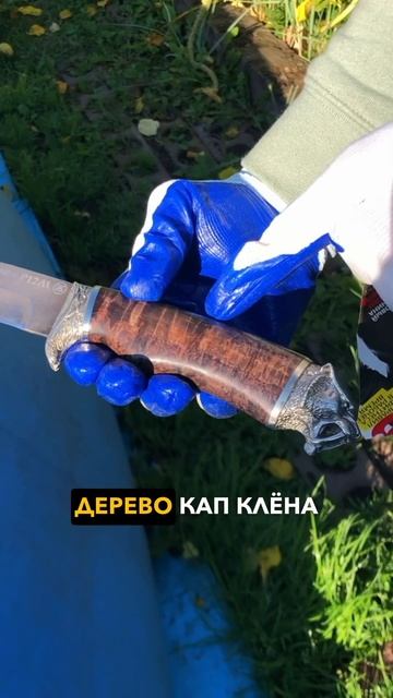 Они не вымерли! Авторский проект Саблезубый тигр #russia #обзор