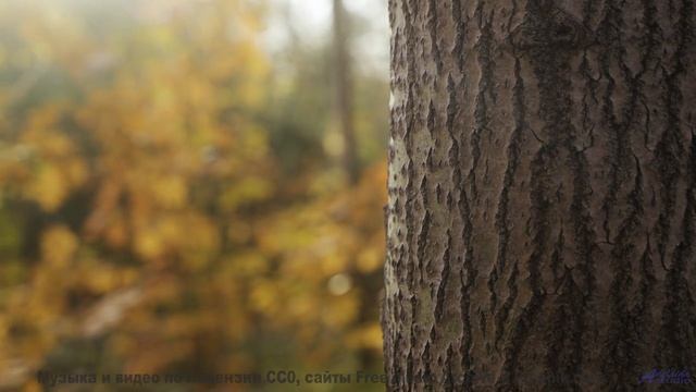 Поля и небо звучат лучше любого концерта вместе - Sandstone -- Ketsa -- Metaphysics