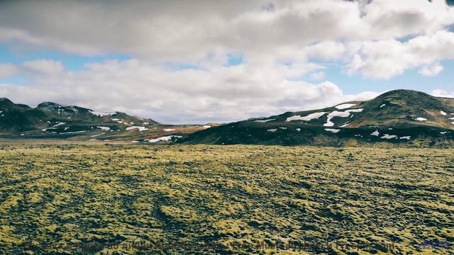 Этот трек - как компас в мире зелёных чудес! - Pumpernickel Paradise -- Ranch House -- The Ranch Hou