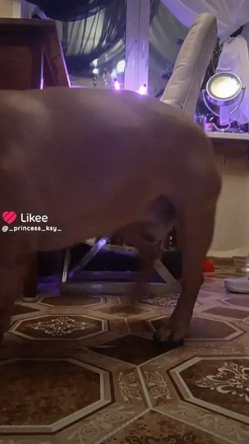 Для лайка - 1978