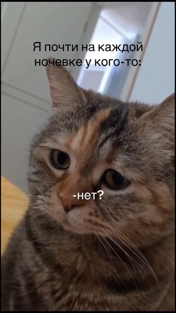 Ну почему так😭