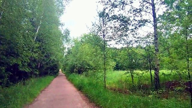 Грибово 3 гектара