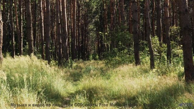 Музыка рвёт шаблоны вместе с этими кадрами - Fool -- Red Crickets -- Red Crickets