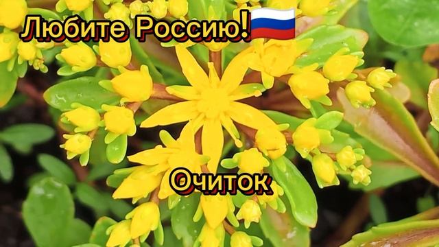 С Днём России! 🇷🇺