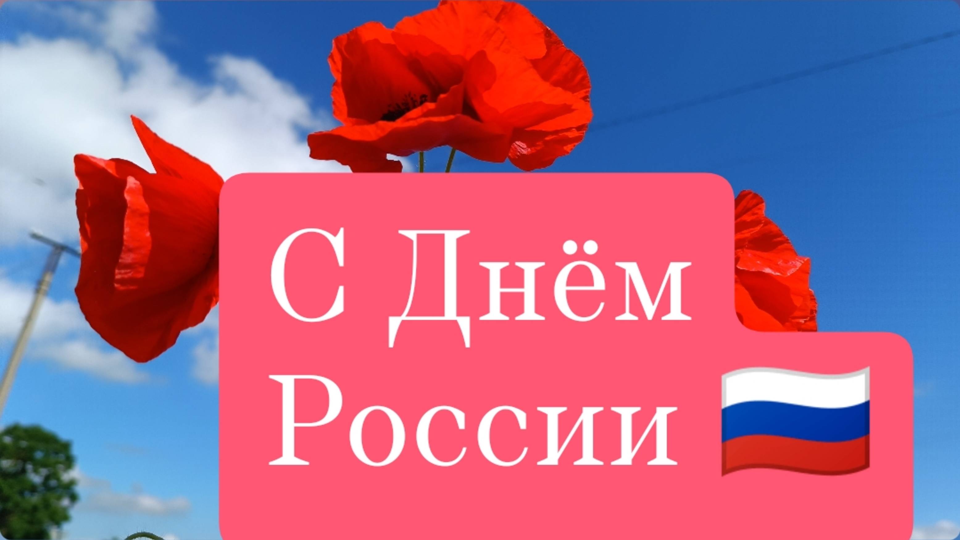 🌺С ДНЕМ РОССИИ🇷🇺