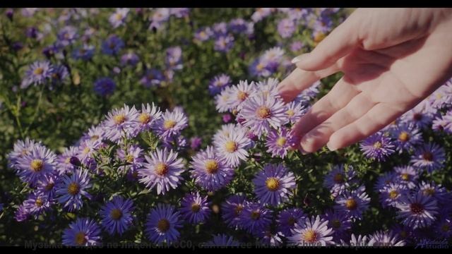 Музыка, от которой хочется давить на газ до упора! - Tribal-Bible -- Ketsa -- Unified Division