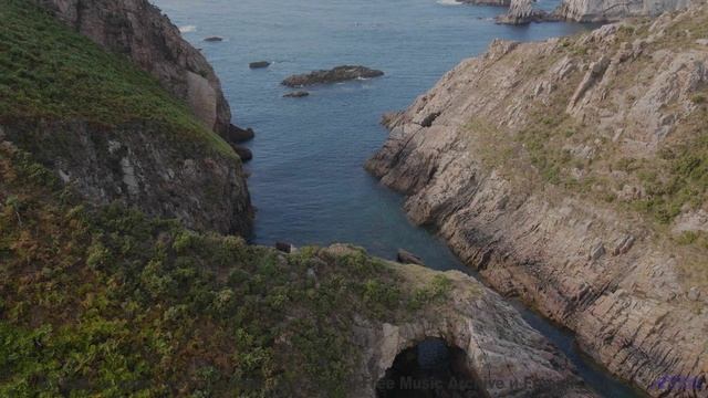 Музыка, которая звучит так, будто ее создала сама природа! - Gruyere -- Podington Bear -- Homage Fro