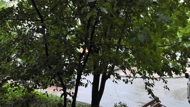 Сегодня))) 12.06.25... С ПРАЗДНИКОМ!!! 🇷🇺🇷🇺🇷🇺