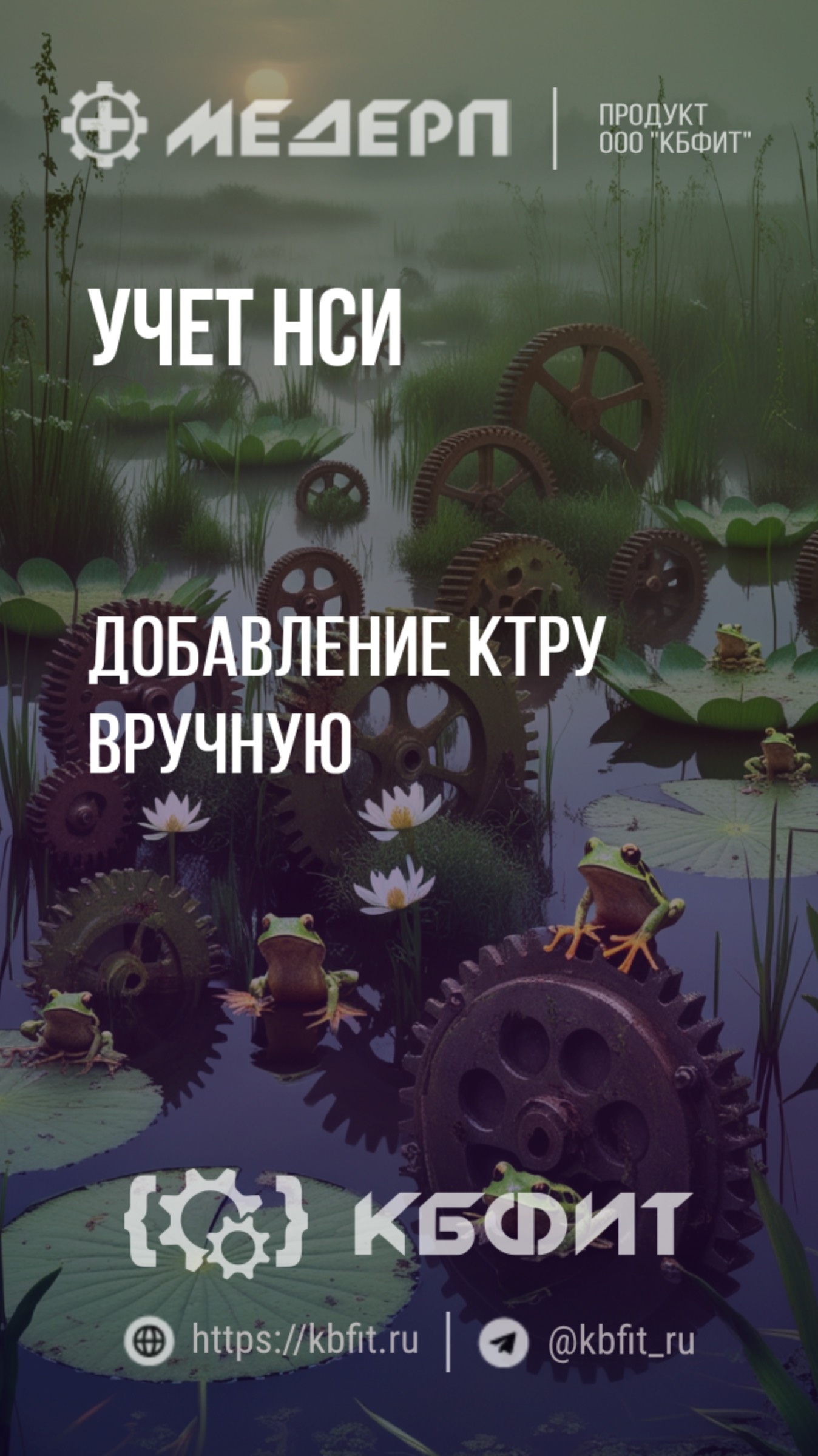 КБФИТ: МЕДЕРП. Учет НСИ: Добавление КТРУ вручную