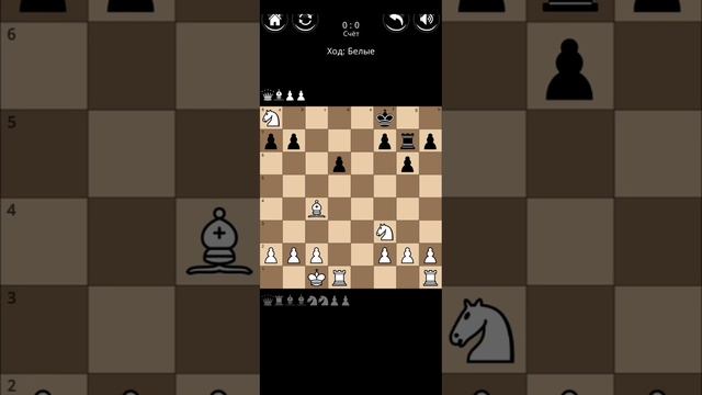 Играю в шахматы с Гришей.