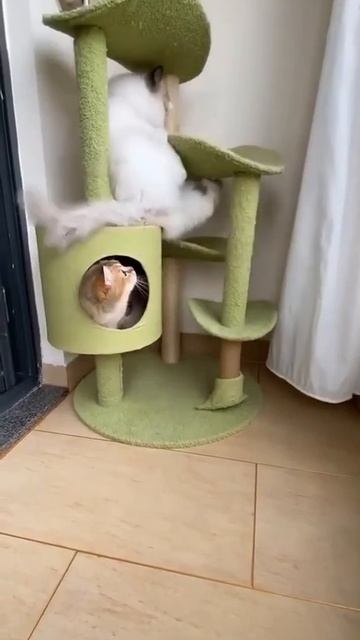 Муж пришел от друзей ночью