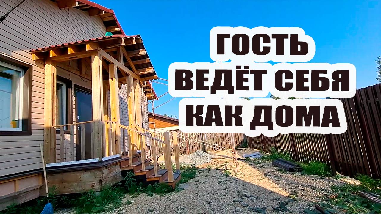 Неожиданный гость ведёт себя как у себя дома и не уходит