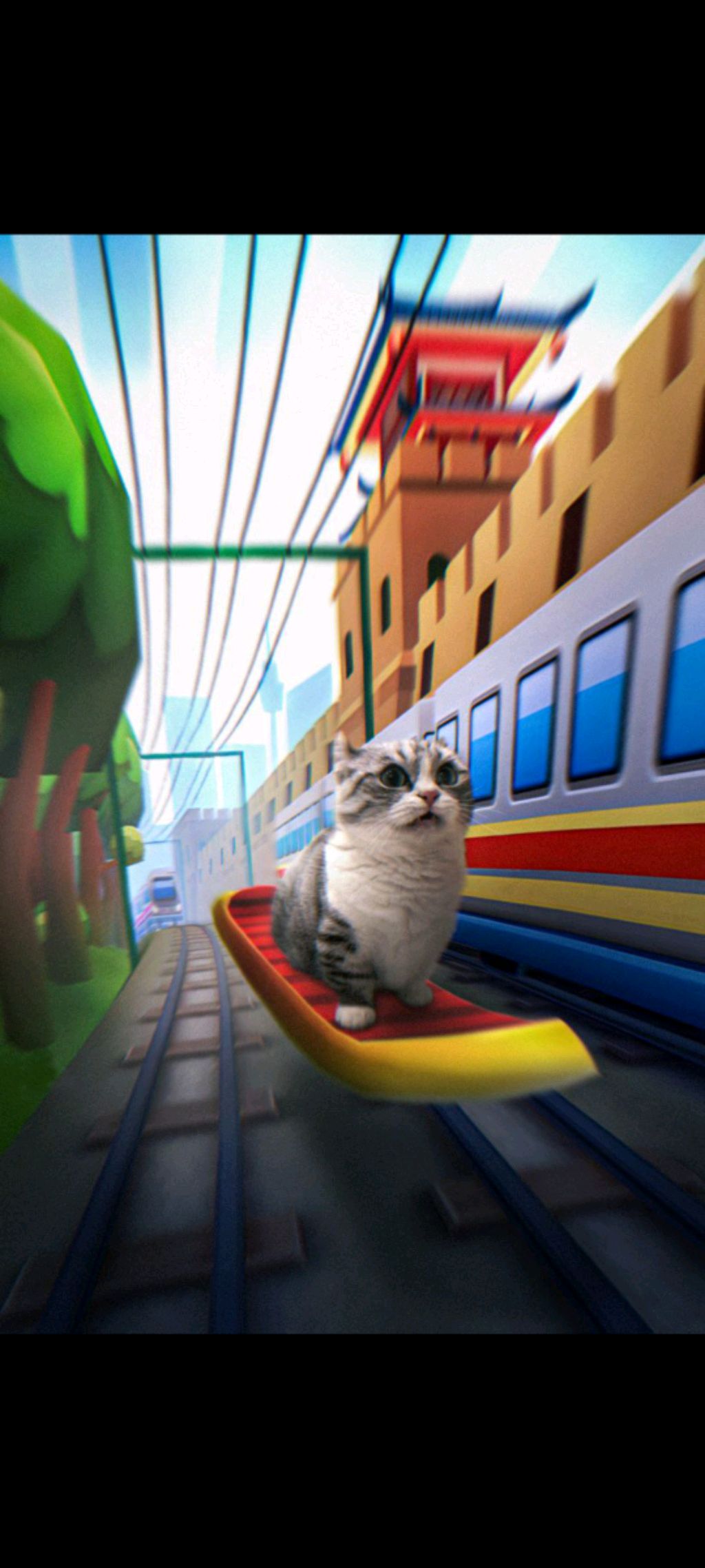 все мои видео будут в youtube формате а канале Vika Roblox Cat
