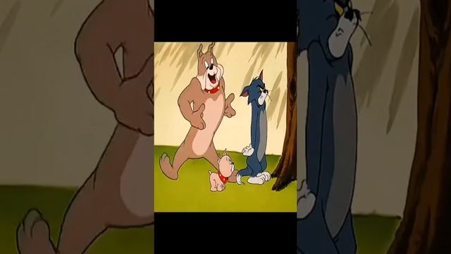 Том и джери