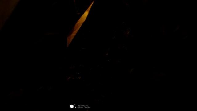 1000021552.mp4