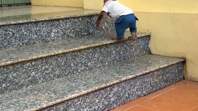 Обезьянки стащили бутылку сока из холодильника Втихаря пьют Меньшую облии Переодевают Спят СМЕШНОЕ П