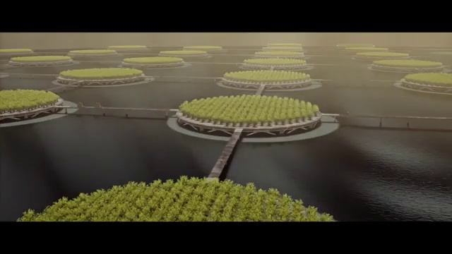 Белое пластиковое небо - мультфильм 2024,трейлер