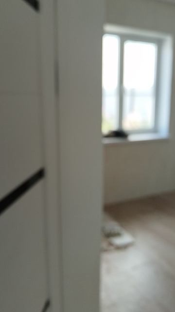 VID_20240719_112023.mp4