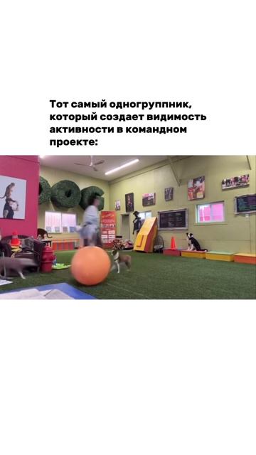 Вывозит всю команду